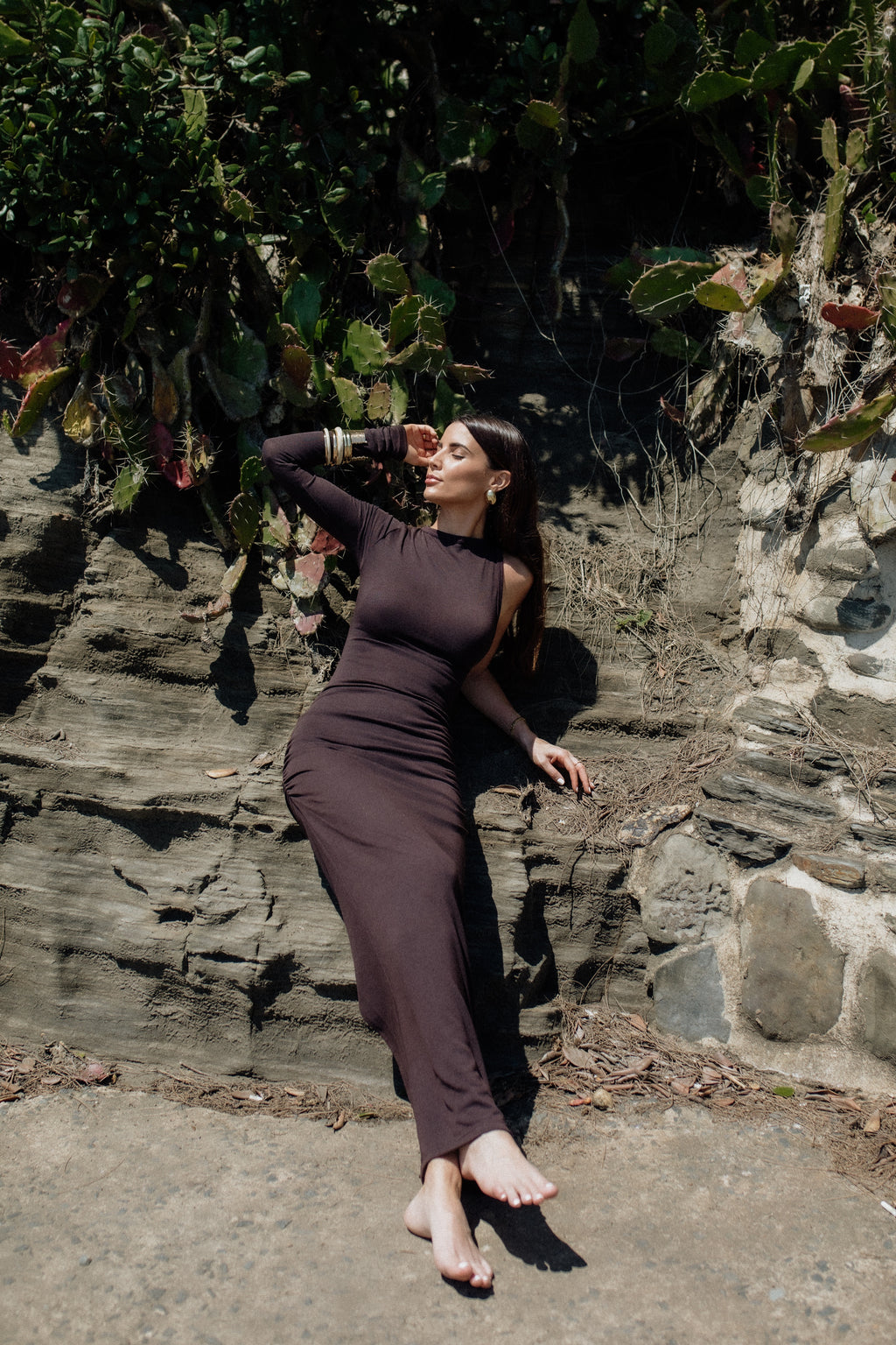 Lera Dress chocolate brown