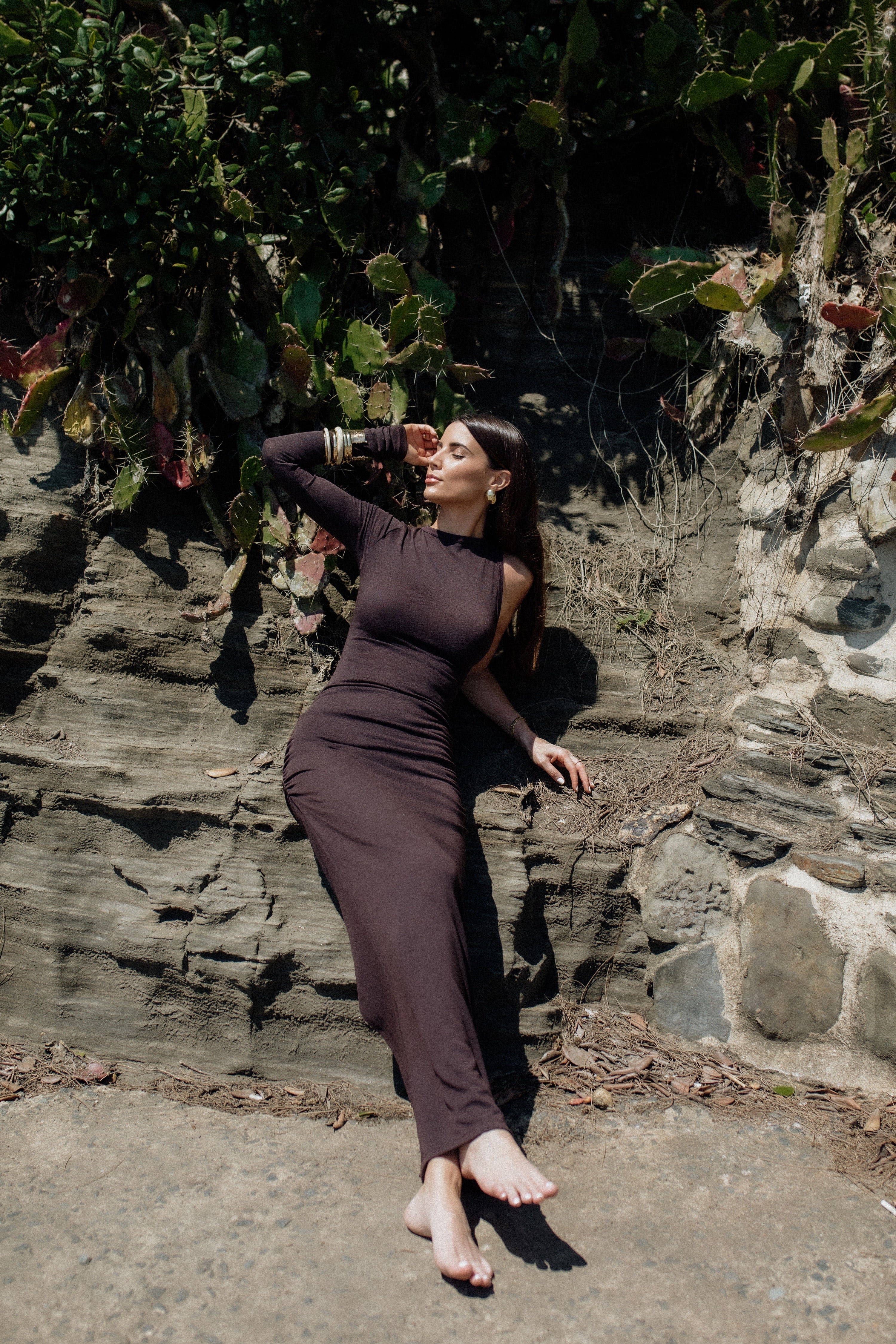 Lera Dress chocolate brown