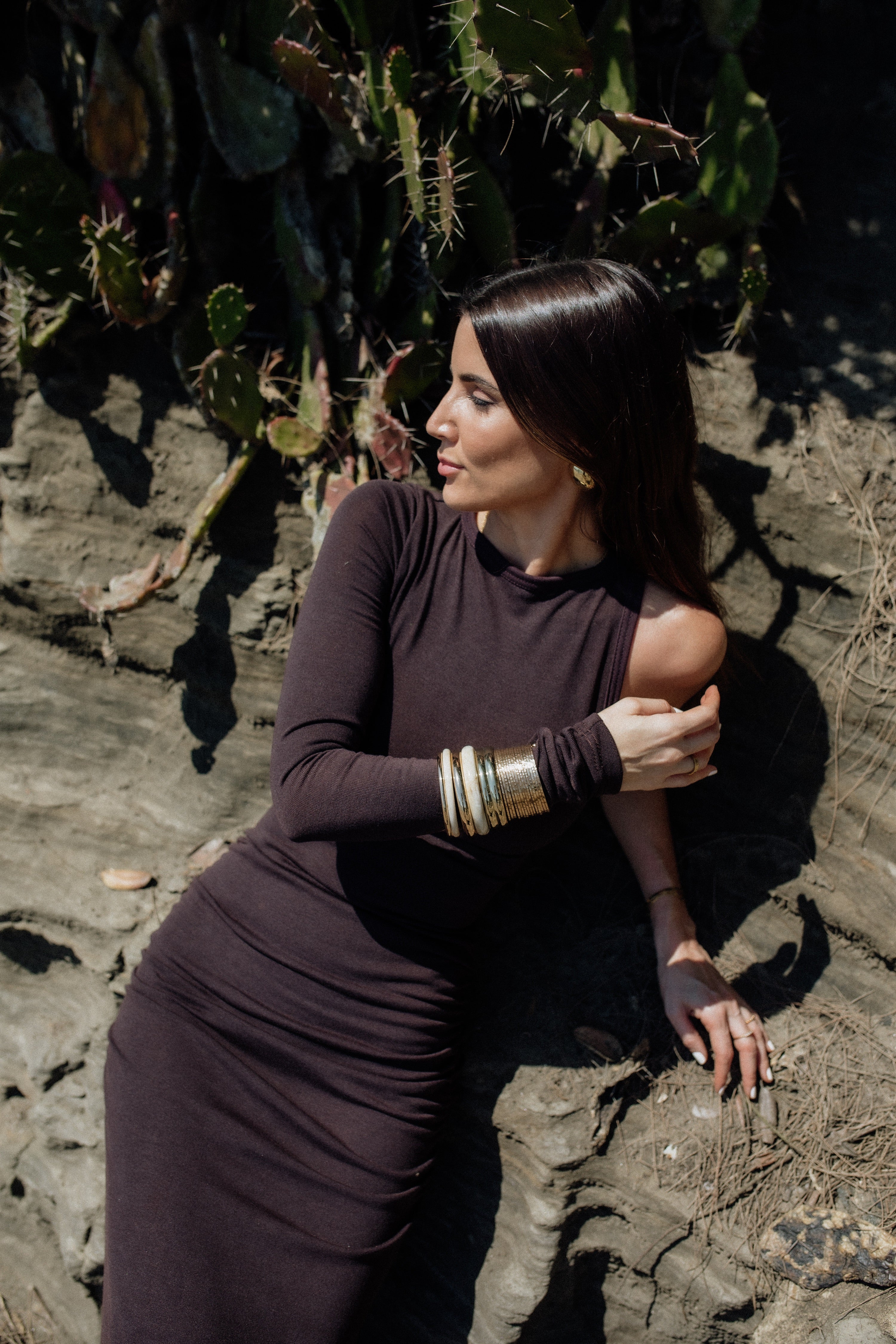 Lera Dress chocolate brown